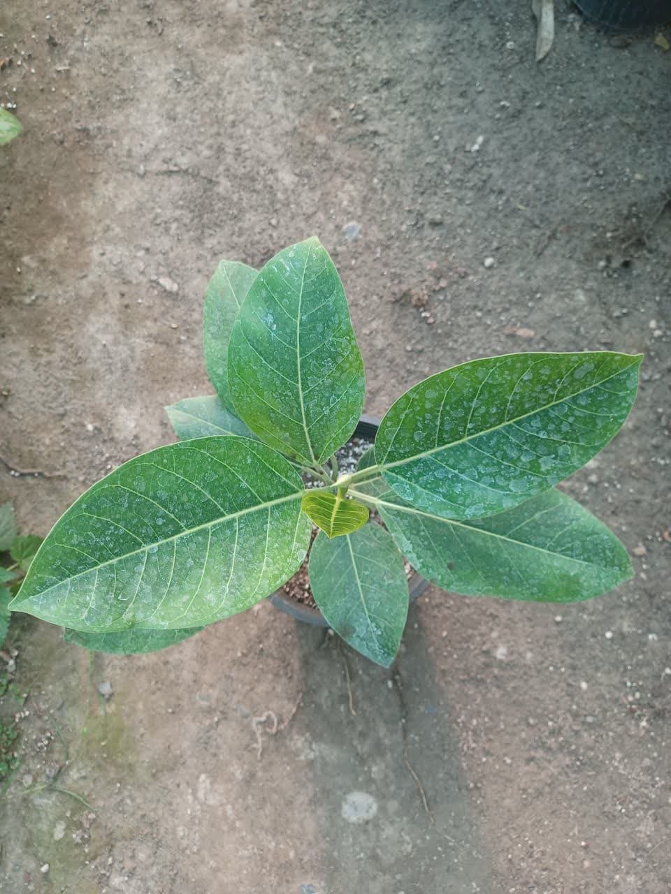 photo_2025-05-26_09-00-35 (2)