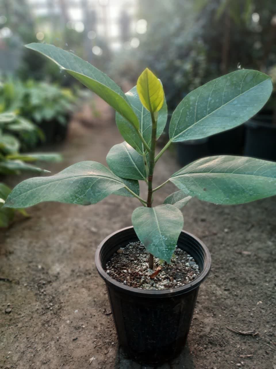 photo_2025-05-26_09-00-37